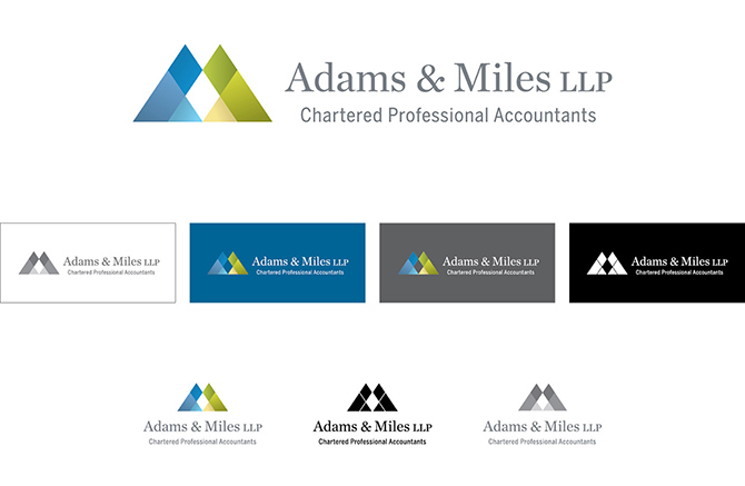 Project LOGO SYSTEM by Richard Marazzi