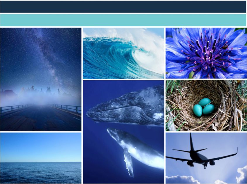 Project COLOUR PALETTE AND STUDY (NEW BEGINNINGS) by Richard Marazzi